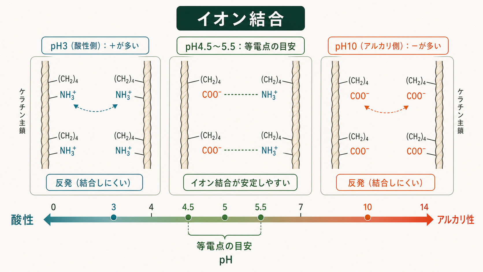 イオン結合（塩結合）：pHでの切れ方