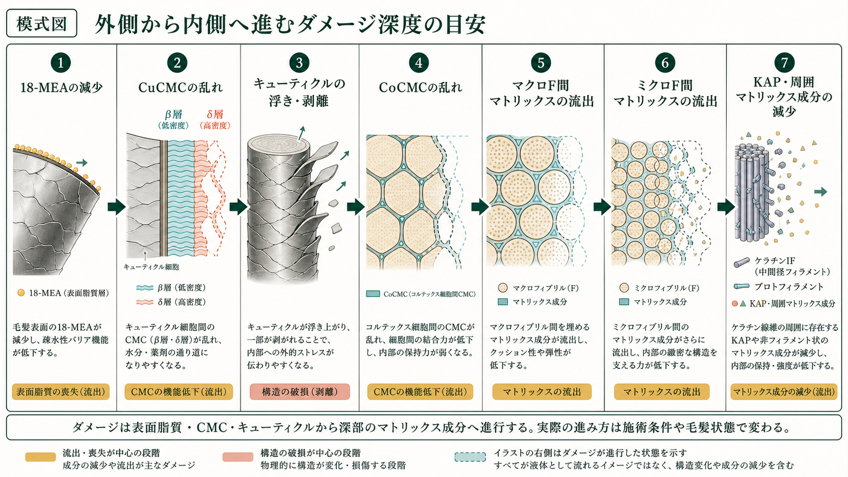 外側から内側へ進むダメージ深度の模式図